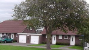 Bild: Haus Norderpiep im Nordseeheilbad Friedrichskoog-Spitze