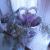 Galeriebild 1