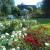 Galeriebild 4