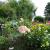 Galeriebild 1