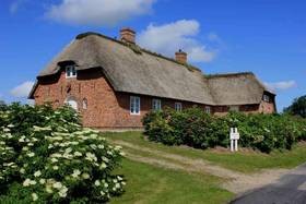 Bild Ferienhaus "Hörn", Urlaub mit Hund, Zaun, Kamin, - 5 P, Nordsee