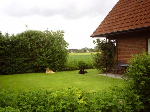 Bild: Heini's Huus 1 - Ferien mit Hund(en) an der Nordsee, WLAN vorhanden
