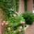 Galeriebild 1