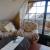 Galeriebild 1