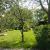 Galeriebild 4