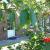 Galeriebild 1