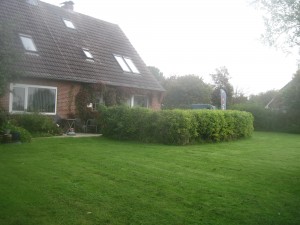 Bild: Ferienwohnung mit Deichblick!
