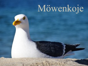 Bild: FeWo Möwenkoje Strandlage Cuxhaven Duhnen Hunde & Kinder willkommen