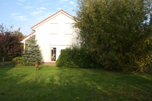 Bild: Nordsee-Ferienhaus"BellaNorda" mit eingezäunten Garten. Hunde willkommen