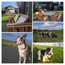 Bild: Schönes Ferienhaus m. großem, eingezäunten Garten Stinteck / Büsum Nordsee