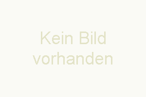 Bild: Reeddach-Friesenhaus Nähe Niebüll/Nordfriesland 90 qm für 4 Erw./ 1 Kind